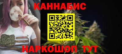 сатива Кандалакша