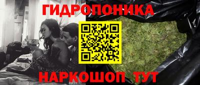 сатива Кандалакша