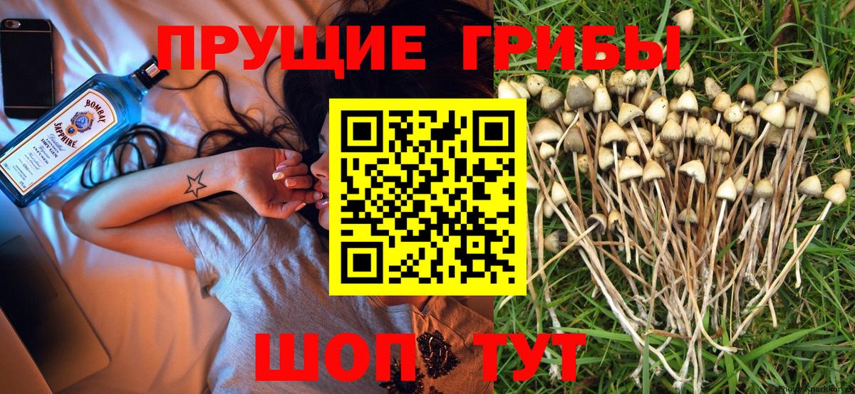 Курган  Галлюциногенные грибы мицелий  Вход с VPN 